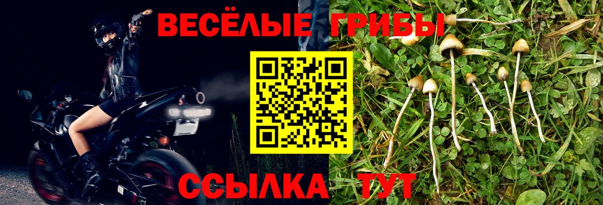 цены наркотик  Вход с VPN  Галлюциногенные грибы Cubensis  Азнакаево  Галлюциногенные грибы Psilocybe 